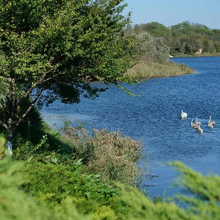 リゾート Lifeharbour Limanu