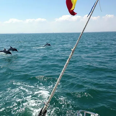 Semesteranläggning (resort) Lifeharbour Limanu