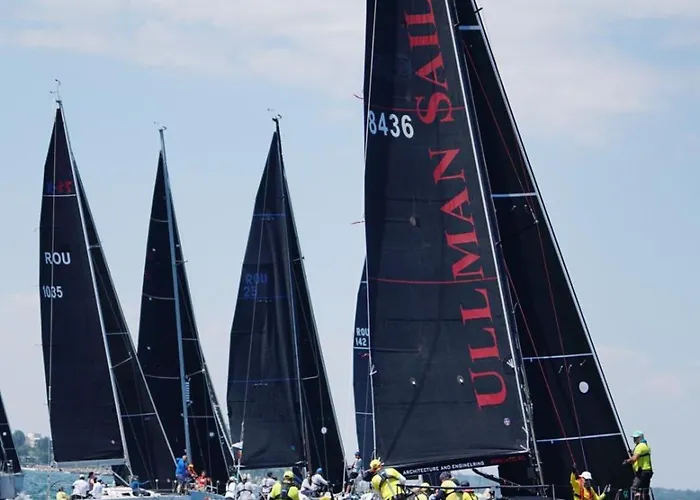 Lifeharbour * Limanu